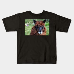 Lama du Pérou Kids T-Shirt